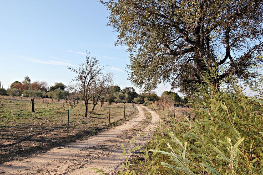 � vendre  Maison Argel�s-sur-Mer (66700)