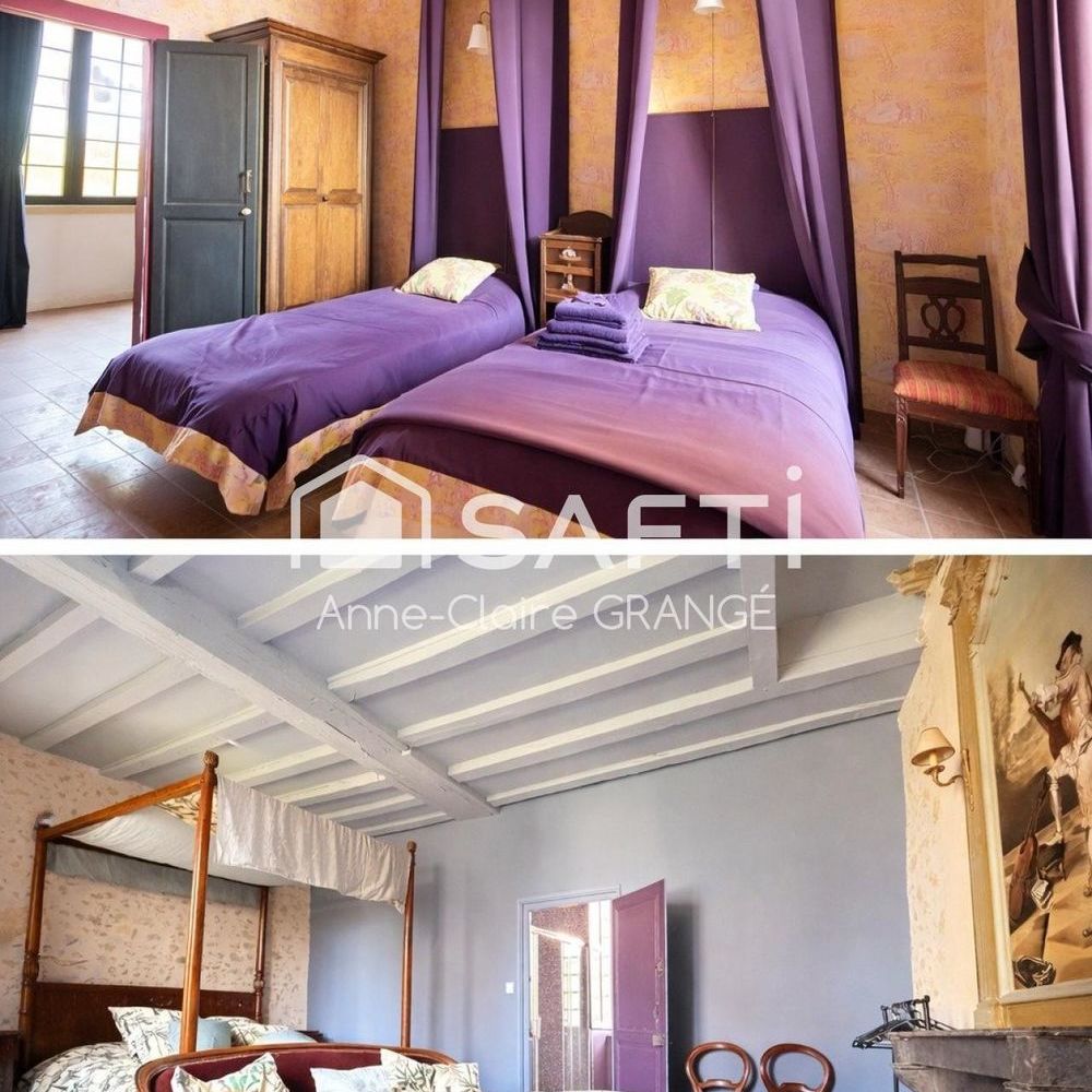 � vendre  Propri�t�/ch�teau Coulans-sur-G�e (72550)