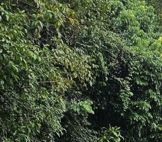  Terrain � vendre 13872 m�