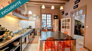  H�tel Particulier � vendre 8 pi�ces 300 m�