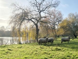  Maison � vendre 7 pi�ces 120 m�