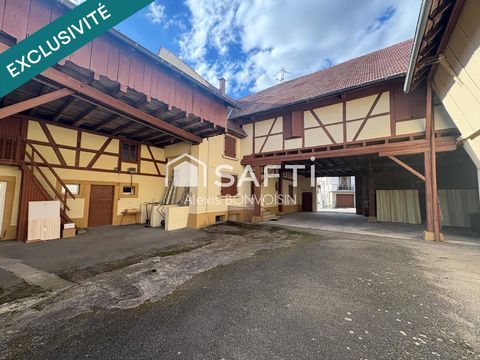   Corps de ferme d'exception au c�ur de Batzendorf Maison - 8 pi�ce(s) - 290 m�