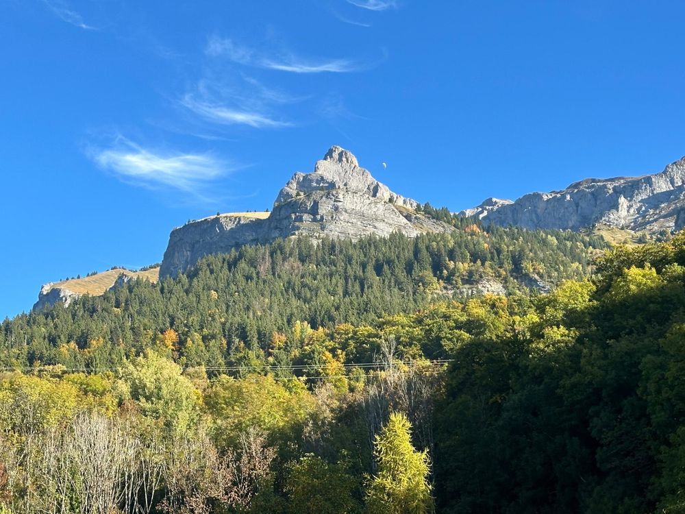 � vendre  Maison Passy (74190)