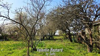  Maison � vendre 6 pi�ces 100 m�