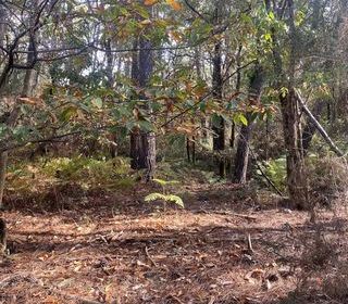  Terrain � vendre 2890 m�