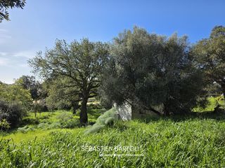  Maison � vendre 6 pi�ces 109 m�