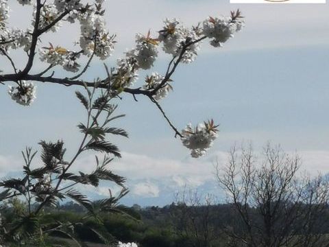   Maison de 75 m� de plain-pied individuelle, 2 chambres, vue sur les Pyr�n�es, avec tr�s beau terrain 5146 m�. Maison - 4 pi�ce(s) - 75 m�