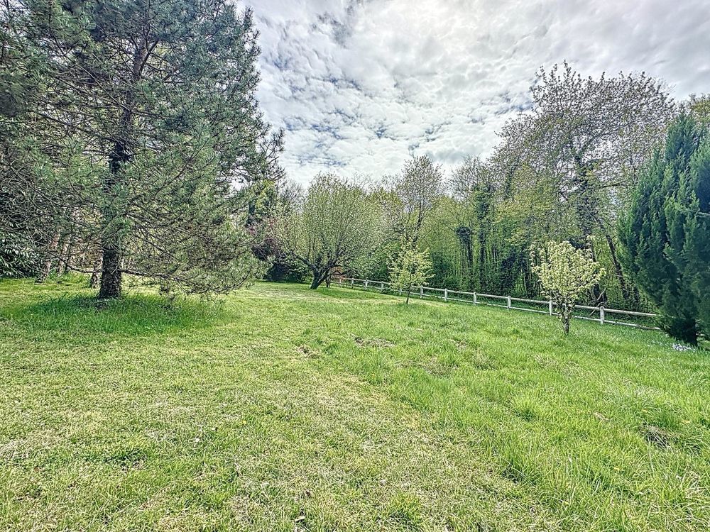 � vendre  Propri�t�/ch�teau Villeneuve-sur-Yonne (89500)