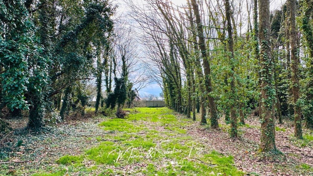 � vendre  Maison Louannec (22700)