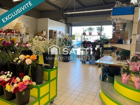 Votre magasin aux portes de Moret-sur-Loing 38333 77250 Moret loing et orvanne