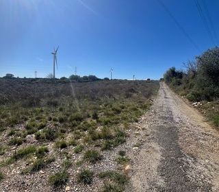  Terrain � vendre 9900 m�