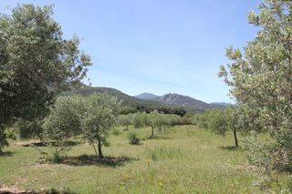  Maison � vendre 6 pi�ces 227 m�