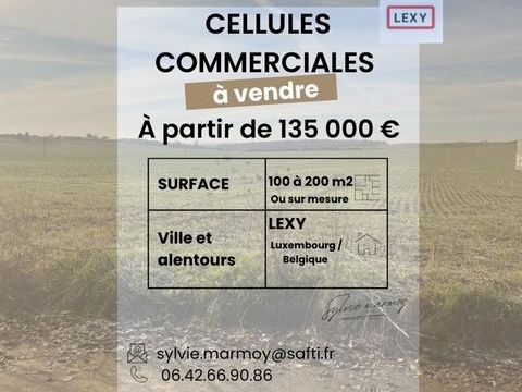 CELLULE COMMERCIALE 208333 54720 Lexy
