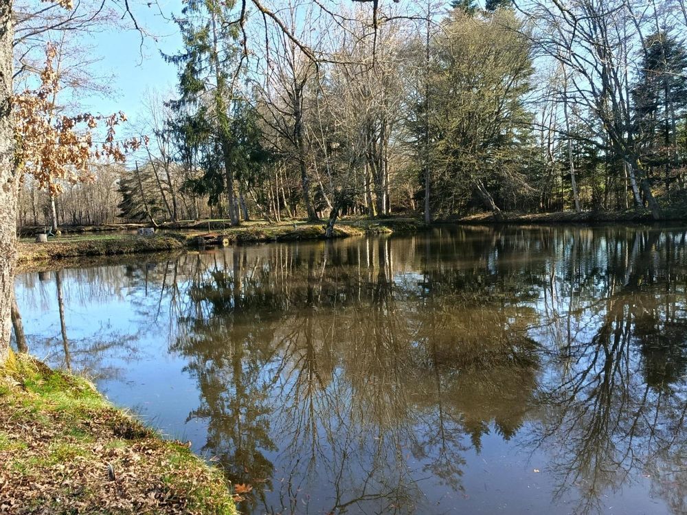 � vendre  Maison Jeanm�nil (88700)