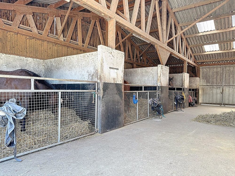 � vendre  Maison Ch�teau-Gontier (53200)