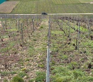  Terrain � vendre 700 m�