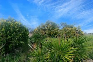  Maison � vendre 10 pi�ces 300 m�