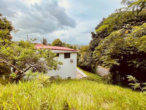   Propri�t� avec possibilit� de rendement locatif. Maison - 9 pi�ce(s) - 297 m�