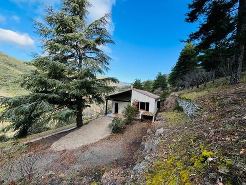   Maison de plain-pied bien construite. Maison - 4 pi�ce(s) - 112 m�