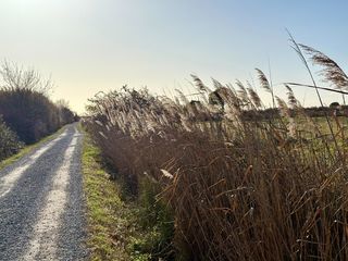  Terrain � vendre 384 m�