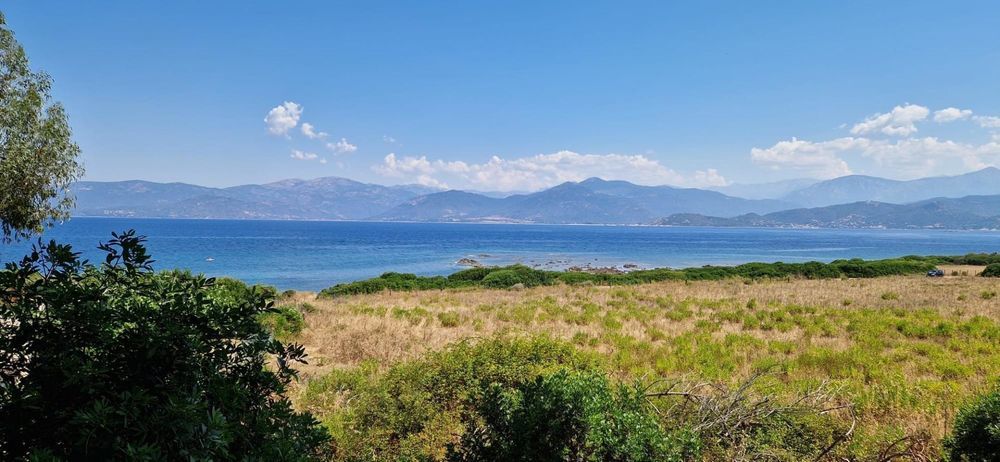 � vendre  Maison Calcatoggio (20111)