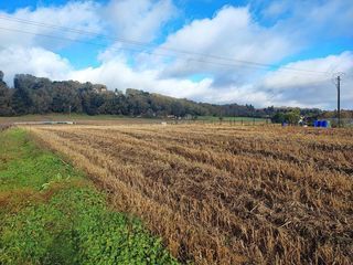  Terrain � vendre 7891 m�