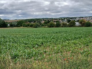  Terrain � vendre 517 m�