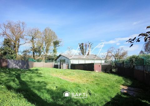 Fonds de commerce pension canine 56000 29800 La martyre