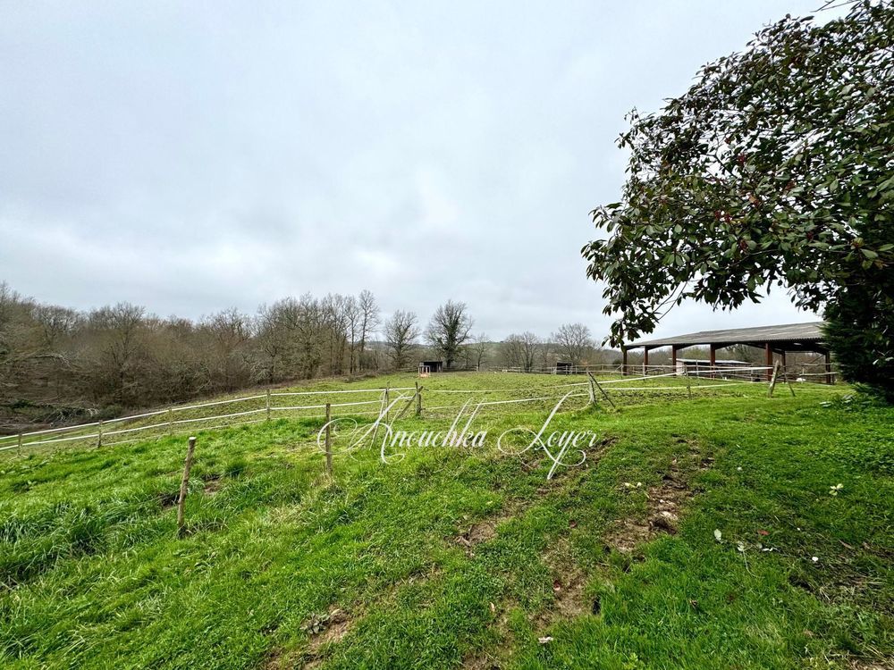 � vendre  Maison Langon (33210)