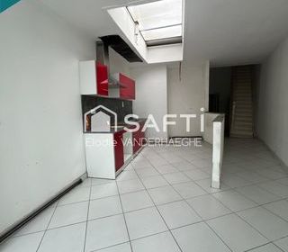  Maison � vendre 15 + pi�ces 295 m�