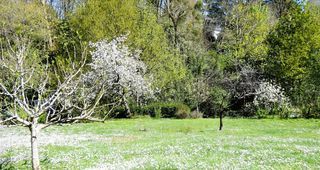  Maison � vendre 2 pi�ces 40 m�