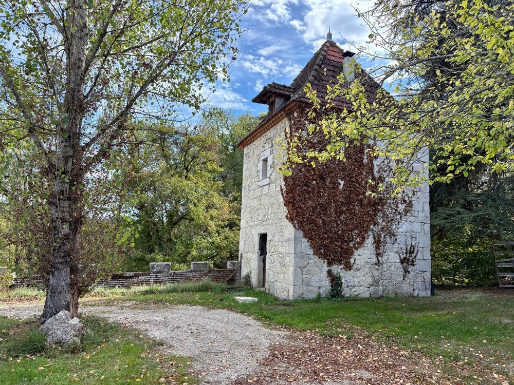 � vendre  Propri�t�/ch�teau Gasques (82400)