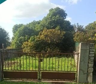  Maison � vendre 3 pi�ces 60 m�