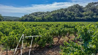  Terrain � vendre 33300 m�