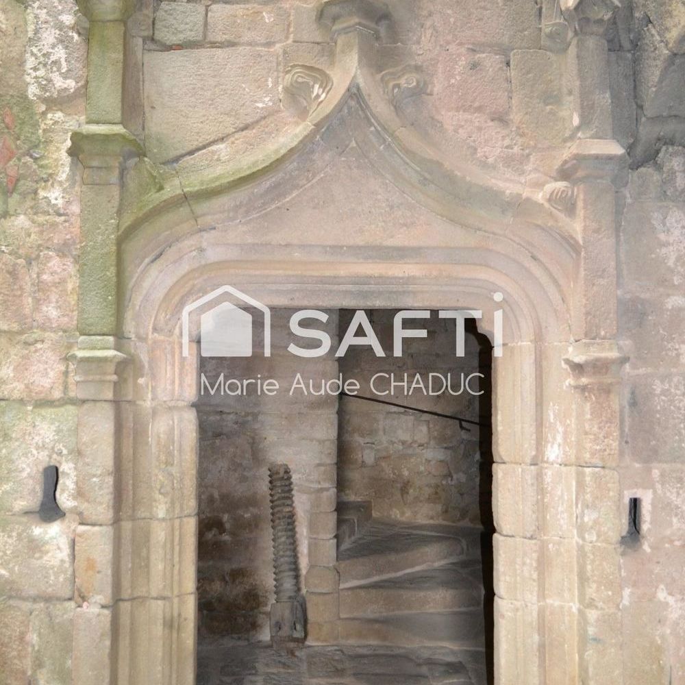 � vendre  Propri�t�/ch�teau Montr�al (07110)