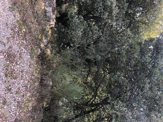  Terrain � vendre 10420 m�