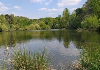  Immeuble � vendre 565 m�