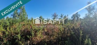  Terrain � vendre 59300 m�