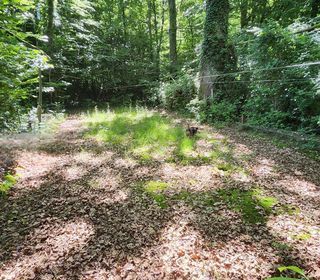  Terrain � vendre 61610 m�