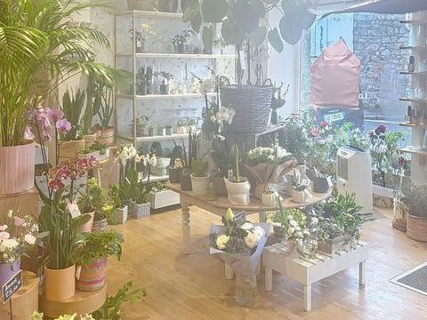 Rare &agrave; Rosoff ! Superbe fleuriste en centre ville, emplacement premium, client&egrave;le fid&egrave;le. A d&eacute;couvrir sans tarder 105900 29680 Roscoff