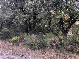  Terrain � vendre 10420 m�