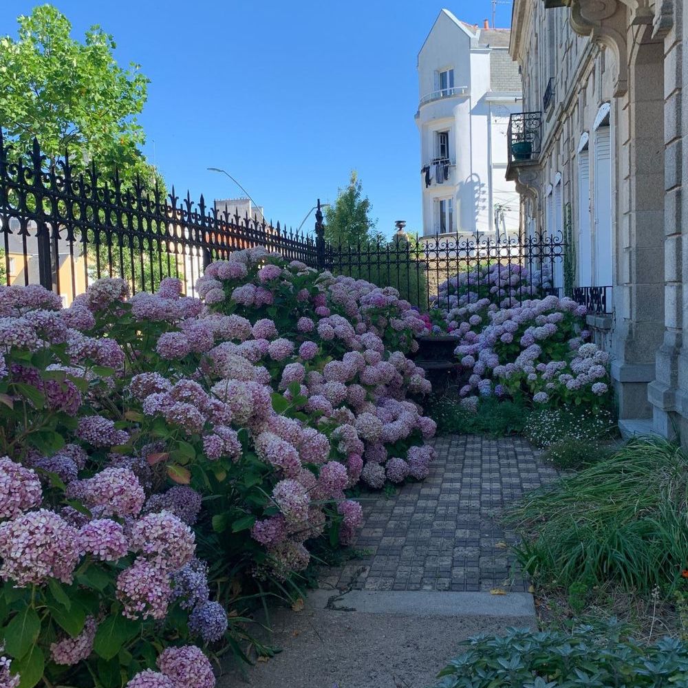 � vendre  H�tel Particulier Lorient (56100)