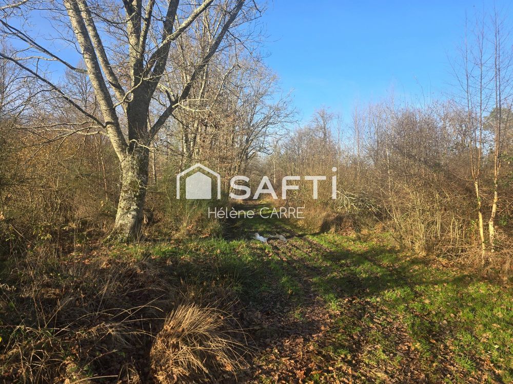 � vendre  Maison Presly (18380)