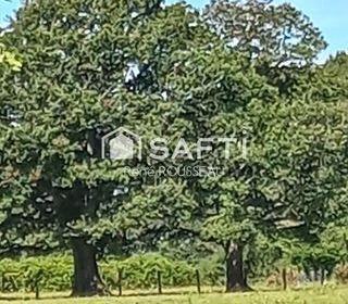  Maison � vendre 6 pi�ces 95000 m�