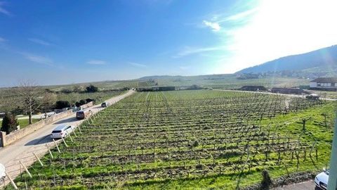   Appartement totalement r�nov� avec place de parking Appartement - 4 pi�ce(s) - 68 m�