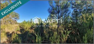  Terrain � vendre 59300 m�