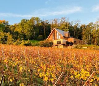  Maison � vendre 15 + pi�ces 295 m�