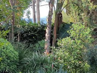  Appartement � vendre 4 pi�ces 105 m�