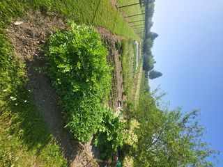  Maison � vendre 5 pi�ces 134 m�