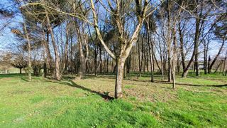  Maison � vendre 5 pi�ces 132 m�